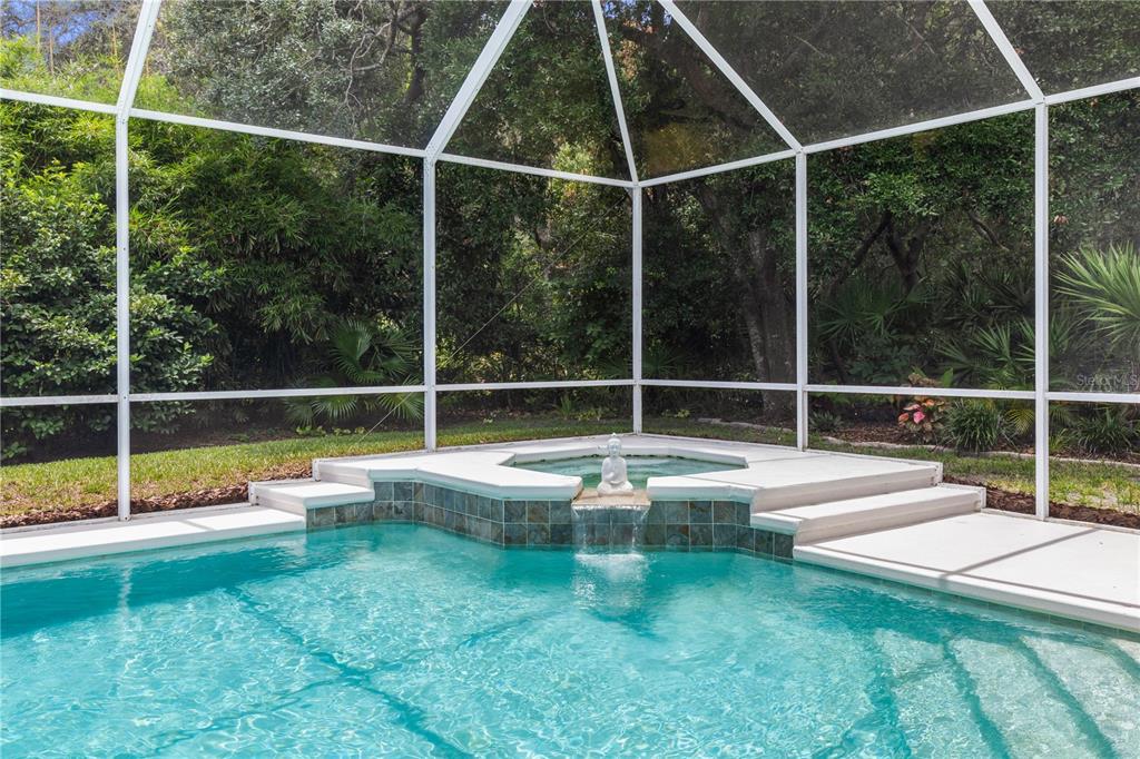 A swimming pool with an attached spa and a small statue under a screened enclosure — 9 VIA VERONA, PALM COAST, FL, FL