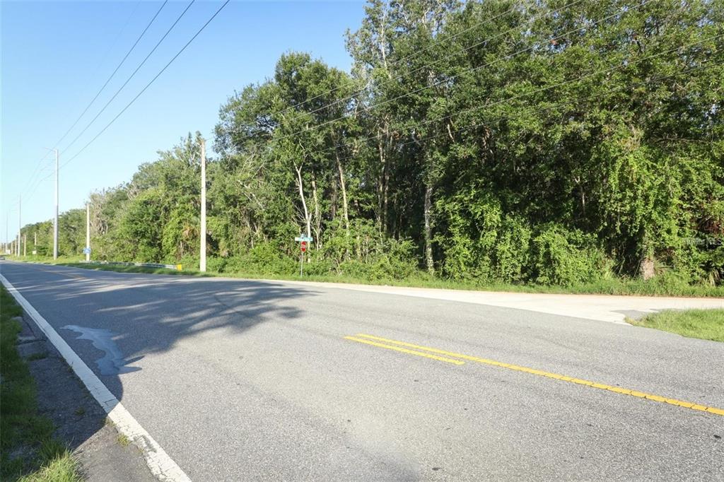 A paved road runs alongside a dense, wooded lot under a clear blue sky — 8915 COUNTY ROAD 44, LEESBURG, FL