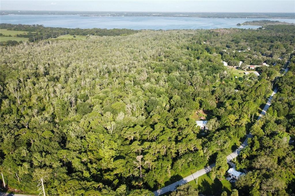 An aerial view shows a dense forest area bordering a large lake with a road nearby — 8915 COUNTY ROAD 44, LEESBURG, FL