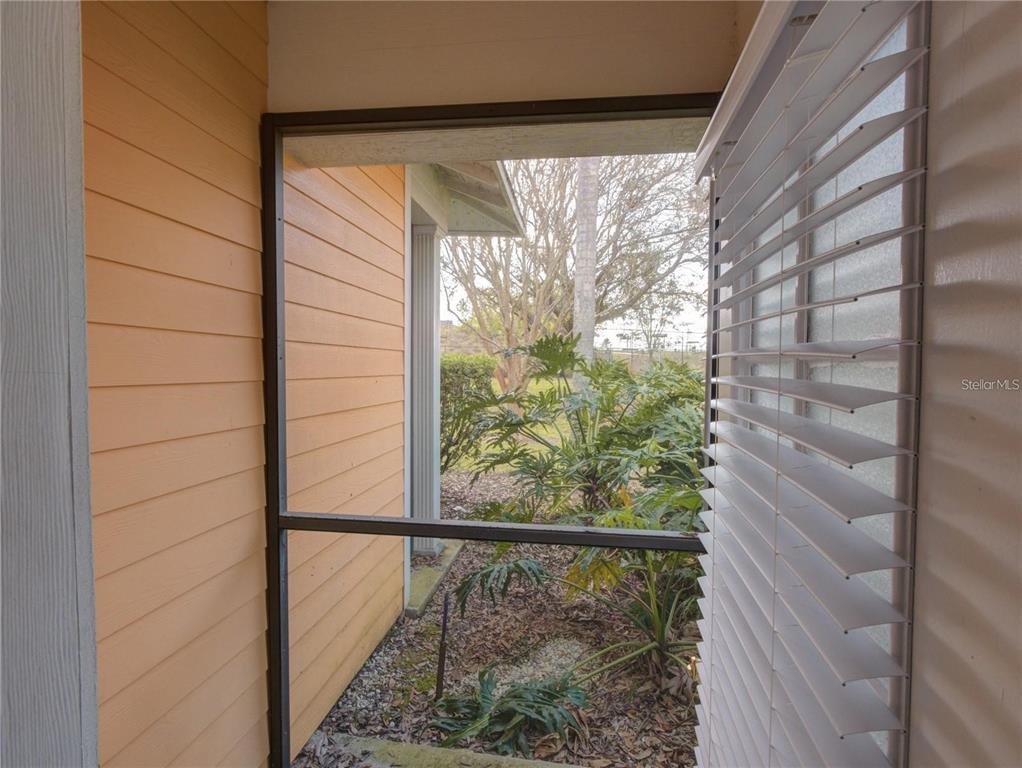 A view from a screened-in porch looking out toward a yard with trees and shrubs — 204 NEW PROVIDENCE UNIT 10104, DAVENPORT, FL