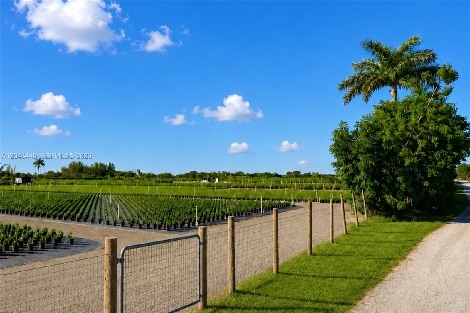 A fenced plant nursery features rows of potted saplings under a bright blue sky — 17345 SW 216th St, Miami FL 33170, MIAMI, FL