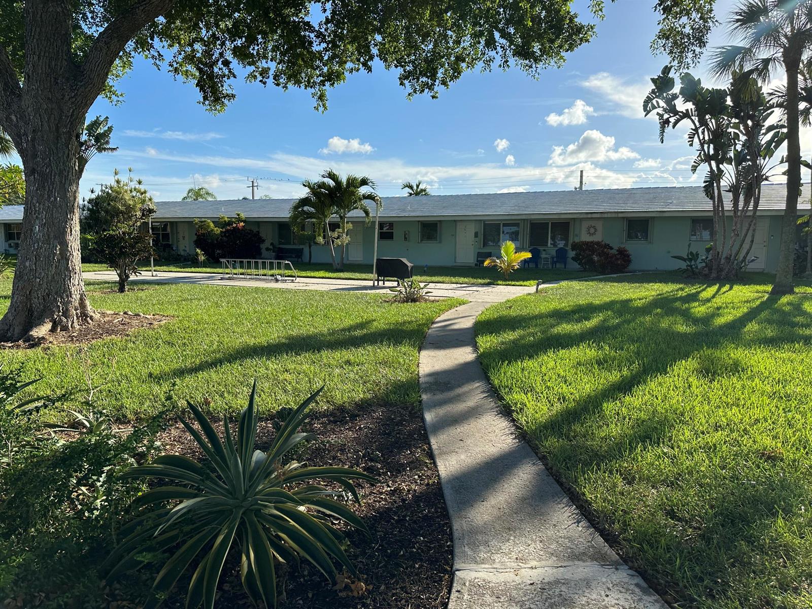 A concrete walkway leads toward a single-story apartment building surrounded by lawns and palm trees — 3801 NE 22nd Terrace # 11, Lighthouse Point FL 33064, LIGHTHOUSE POINT, FL