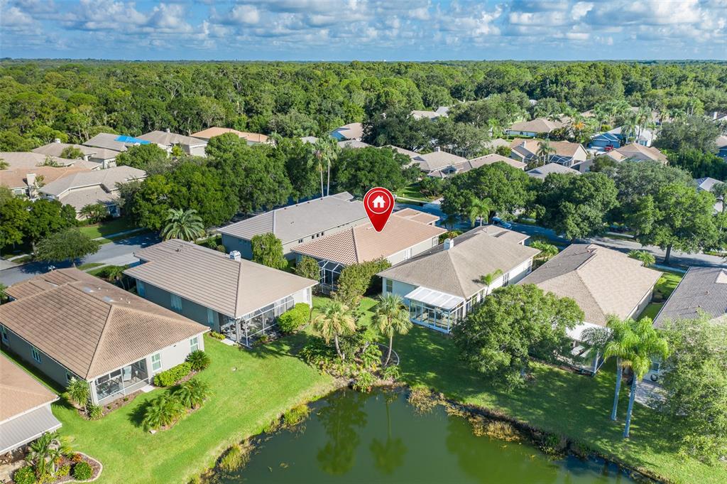 4770 PEBBLE BROOK DRIVE, OLDSMAR, FL — photo 3 of 26