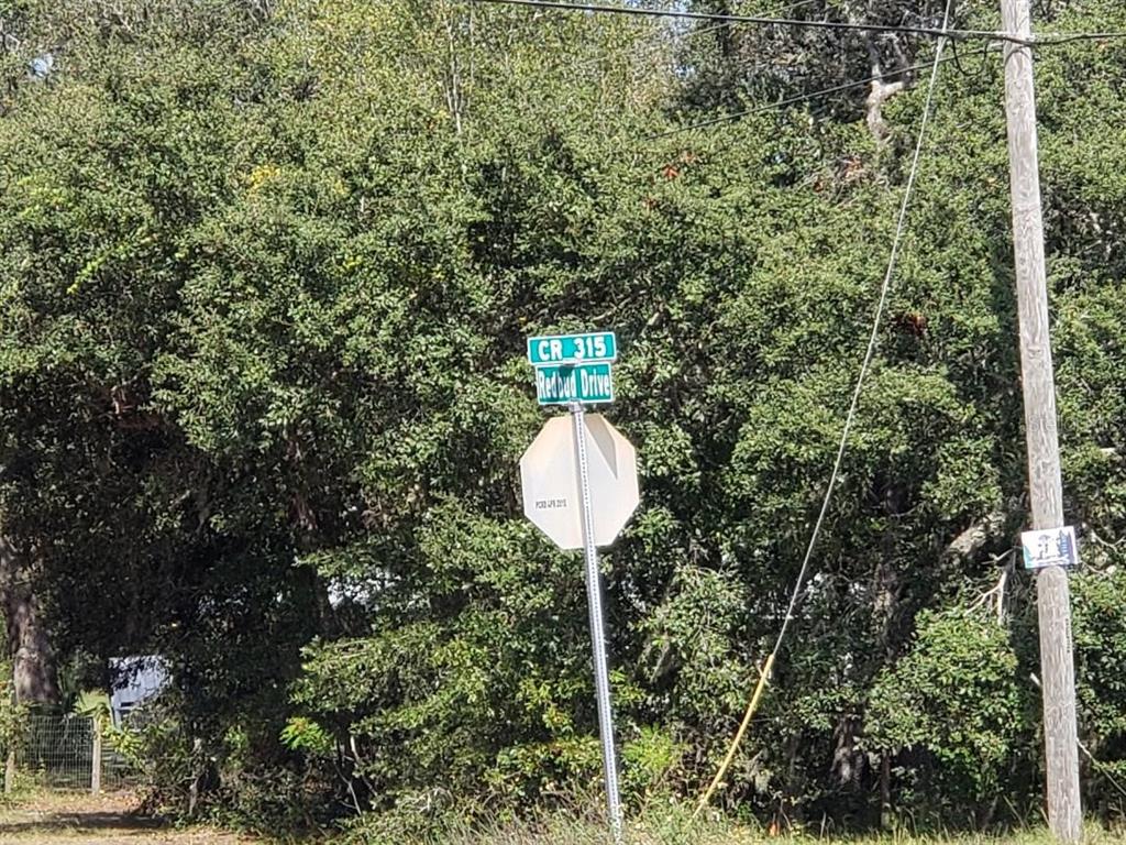 345 S COUNTY ROAD 315, INTERLACHEN, FL — photo 3 of 5