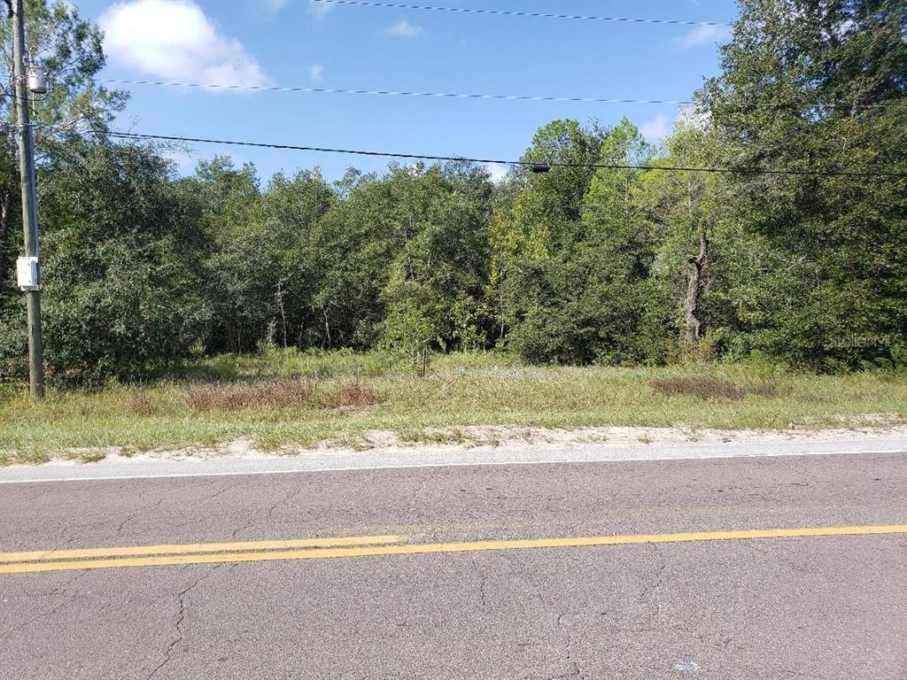 345 S COUNTY ROAD 315, INTERLACHEN, FL — photo 4 of 5