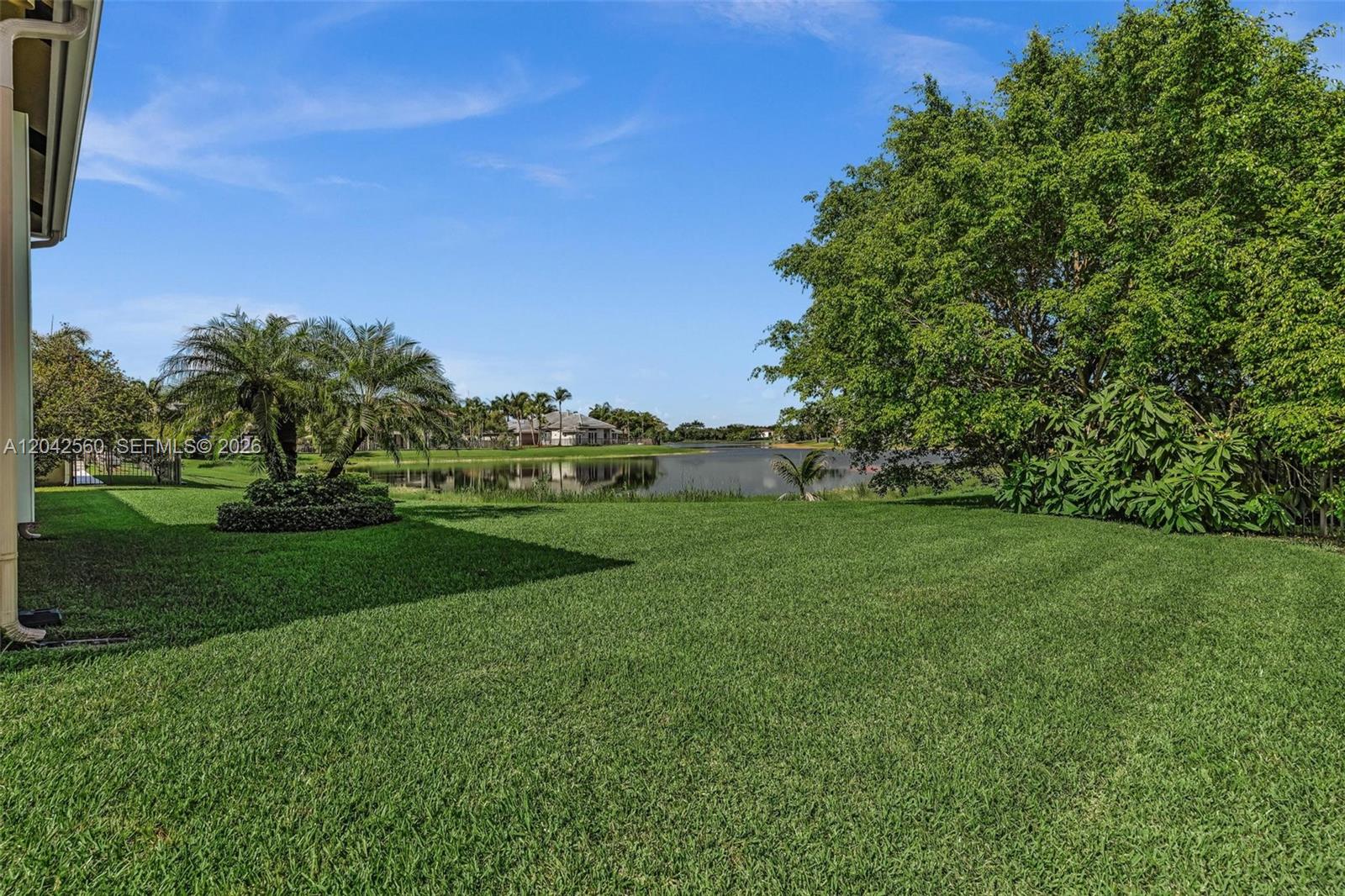 A grassy backyard overlooks a lake with palm trees and a large tree — 2733 Meadowood Dr, Weston FL 33332, WESTON, FL
