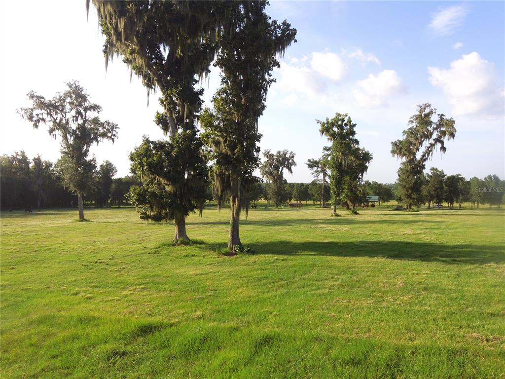 11077 PONCE DE LEON BOULEVARD, BROOKSVILLE, FL — photo 4 of 28