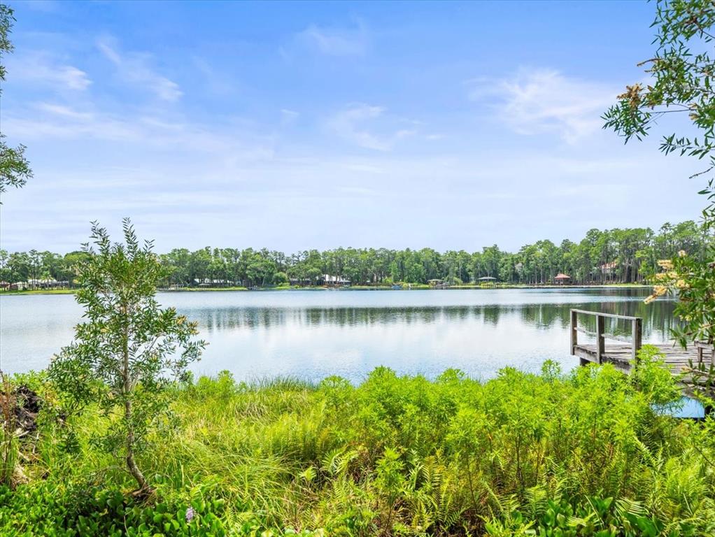 A wooden dock extends into a calm lake surrounded by lush green trees and vegetation — 16035 CHASTAIN ROAD, ODESSA, FL