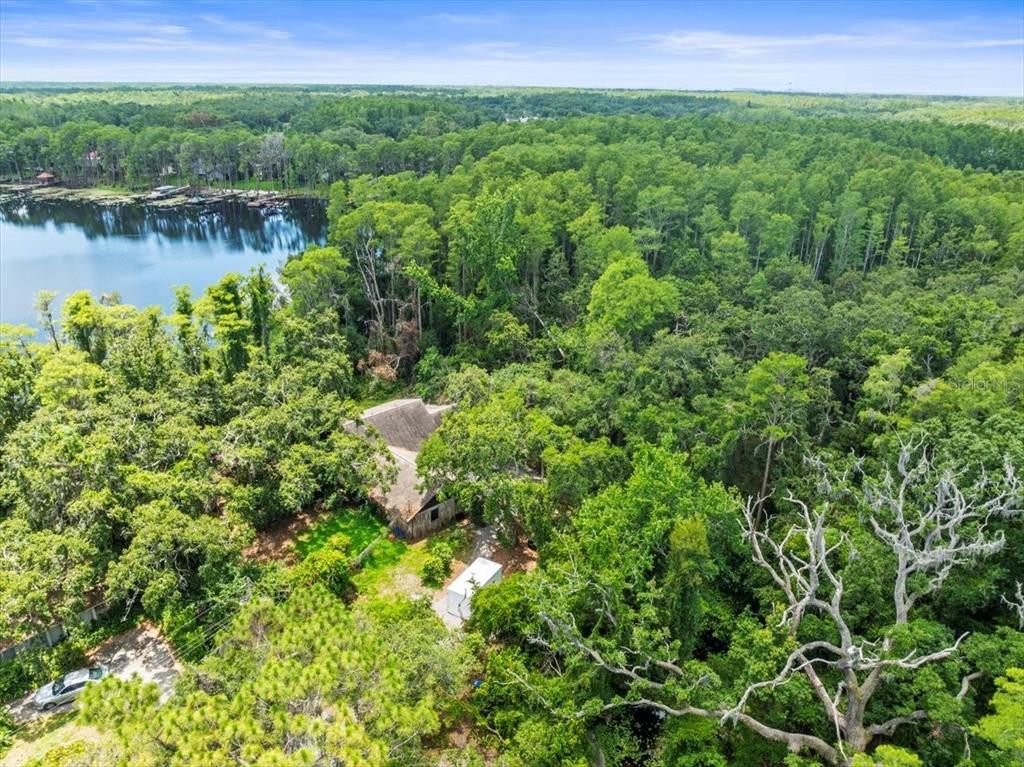 An aerial view shows a house nestled in a dense forest next to a lake — 16035 CHASTAIN ROAD, ODESSA, FL