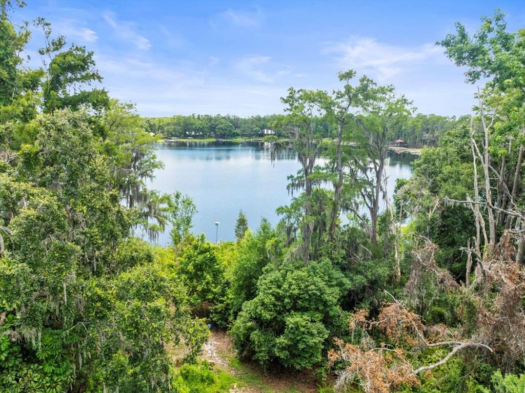 A view of a calm lake surrounded by dense trees and Spanish moss — 16035 CHASTAIN ROAD, ODESSA, FL