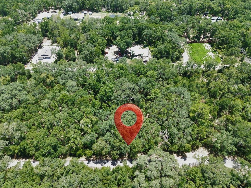 An aerial view shows a red location pin marking a wooded, undeveloped residential lot — TBD FISHER LANE DRIVE, OCKLAWAHA, FL