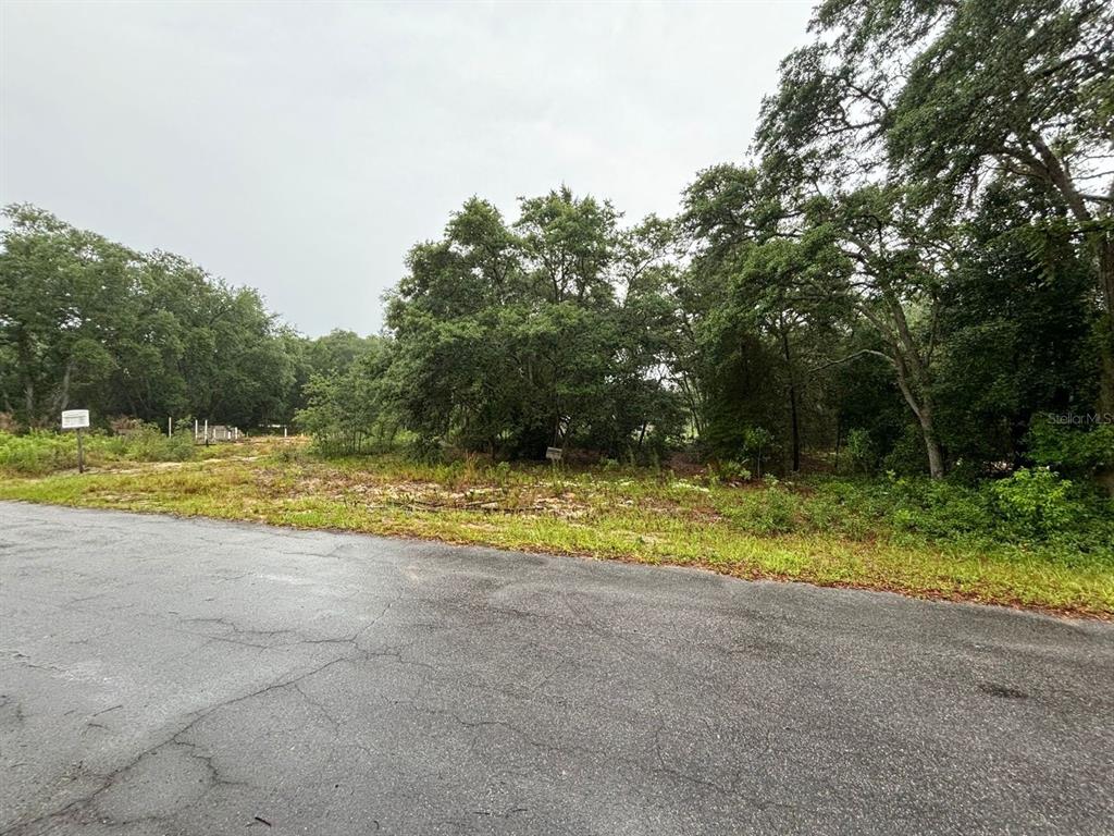 A paved road runs in front of a wooded, undeveloped residential lot — 7 FISHER WAY DRIVE, OCKLAWAHA, FL