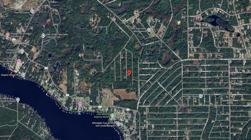 This is a satellite map showing a wooded residential area near a large body of water — 138 MOSSWOOD STREET, GEORGETOWN, FL