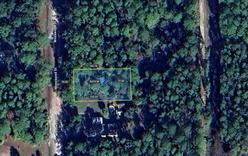 An aerial map view shows a rectangular property lot highlighted in yellow with dimensions — 138 MOSSWOOD STREET, GEORGETOWN, FL