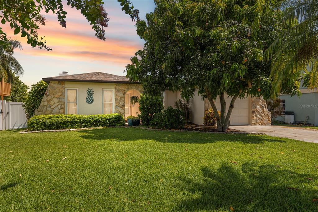 A single-story house with stone accents, a pineapple wall decoration, and a large front tree — 7711 HATTERAS DRIVE, HUDSON, FL
