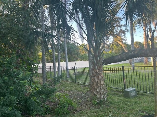 A palm tree stands in a grassy yard next to a black metal fence — 13311 72ND TERRACE N, SEMINOLE, FL