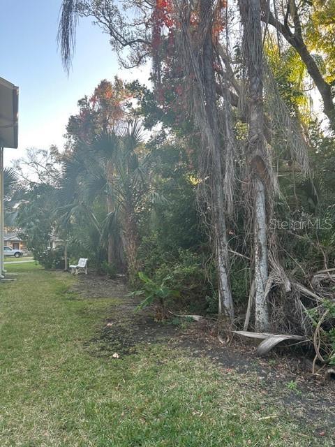 A grassy yard features a white bench nestled among dense trees and tropical foliage — 13311 72ND TERRACE N, SEMINOLE, FL