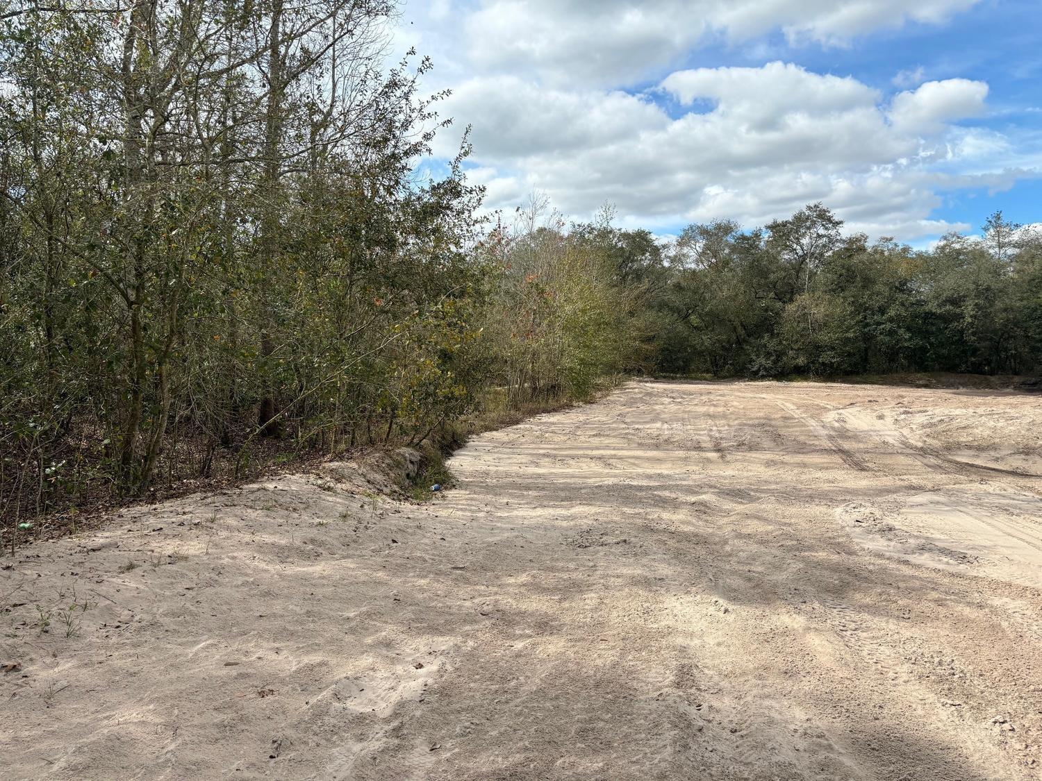 A sandy, cleared lot borders a dense forest under a partly cloudy sky — 0 County Rd 54, FL 33849, FL