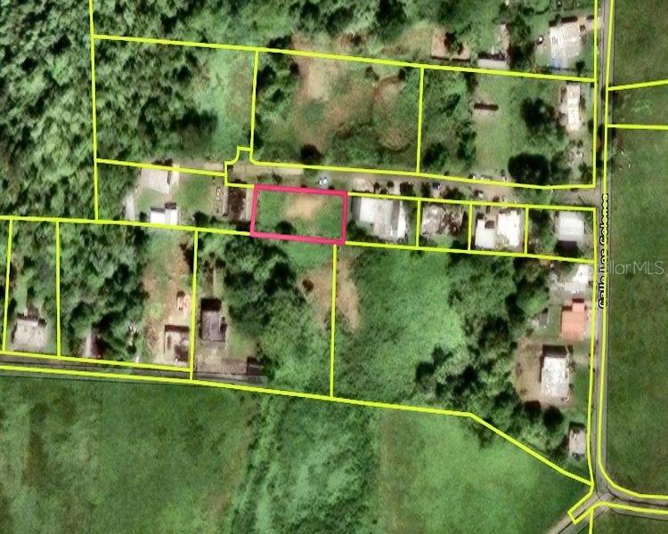 An aerial map shows a rectangular plot of land highlighted in pink among neighboring properties — BO. DOMINGUITO, SECTOR LOS COLONOS,, ARECIBO, PR