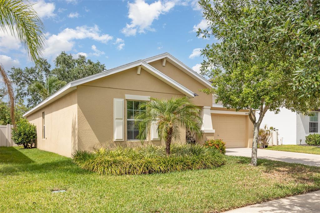 10036 CRESTED FRINGE DRIVE