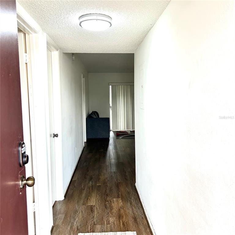 A view from an entryway looking down a hallway toward a living area with flooring — 7531 PITCH PINE CIRCLE UNIT 197, TAMPA, FL