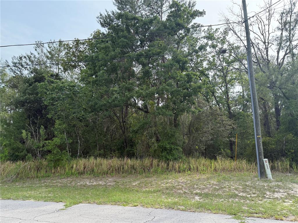 A wooded, undeveloped lot sits behind a grassy verge next to a paved road — TBD SW 128TH PLACE, OCALA, FL