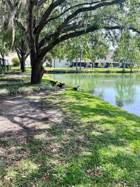 3615 PINE KNOT DRIVE