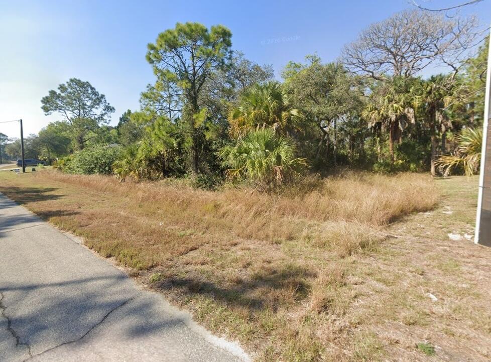 A vacant, grassy lot with scattered trees and shrubs borders a paved road — 108 Pixie Avenue, FL 33935, FL