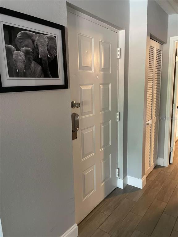 An interior view shows a white front door, a framed elephant print, and louvered closet doors — 2595 CYPRUS DRIVE UNIT 4-217, PALM HARBOR, FL
