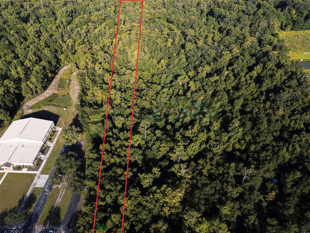 An aerial view shows a rectangular plot of land outlined in red amidst dense forest — 2310 ROUSE ROAD, ORLANDO, FL