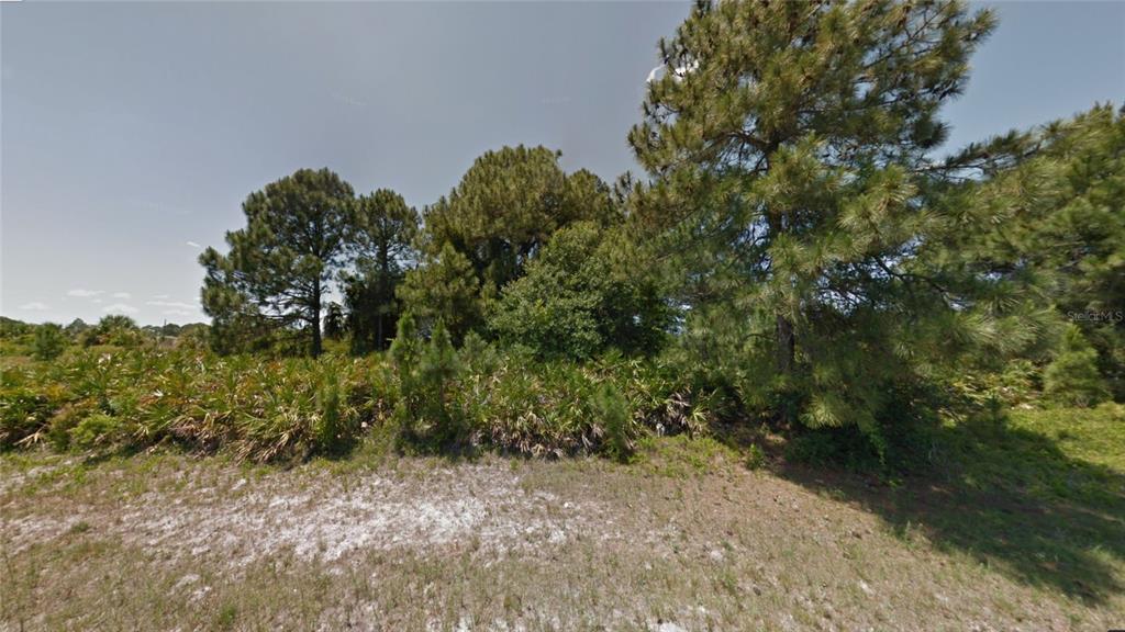 A vacant, wooded lot features tall pine trees and low-lying saw palmetto bushes — LARATONDA ROAD Lot 27, NORTH PORT, FL