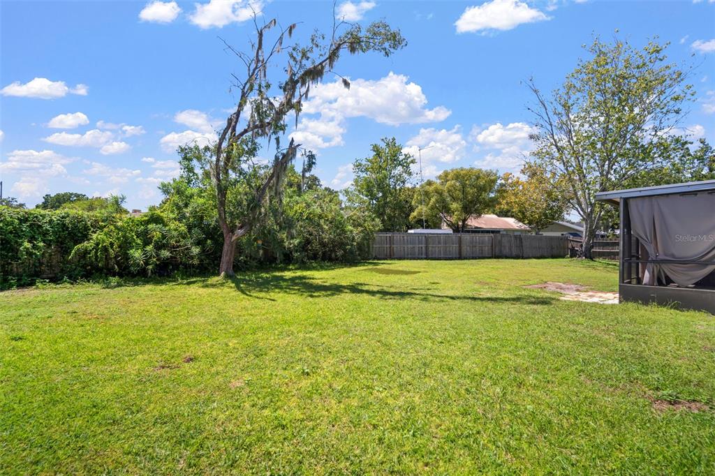 A grassy backyard features a large tree with Spanish moss and a covered patio area — 4613 N COUNTRY HILLS COURT, PLANT CITY, FL