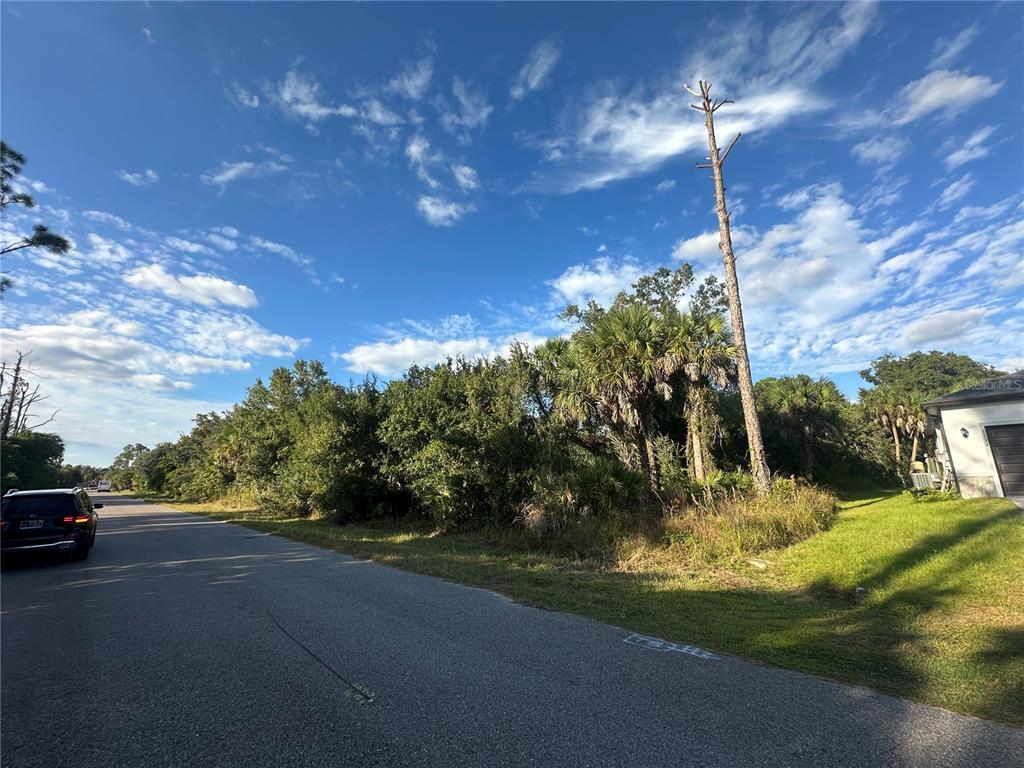 A paved road runs alongside a vacant, wooded lot with a tall pine tree — PARLAY LANE, NORTH PORT, FL