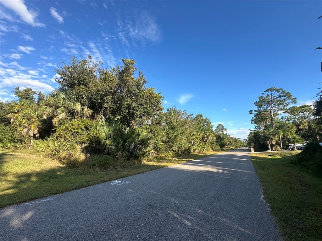 A paved road runs alongside a wooded lot with dense trees and palm vegetation — PARLAY LANE, NORTH PORT, FL