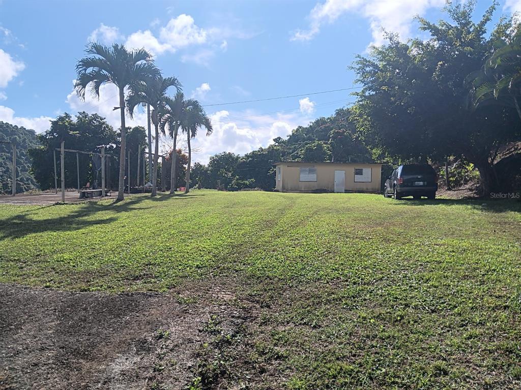 A grassy yard features a small, light-colored house, palm trees, and a parked SUV — Carr 184 BO. MULAS, PATILLAS, PR