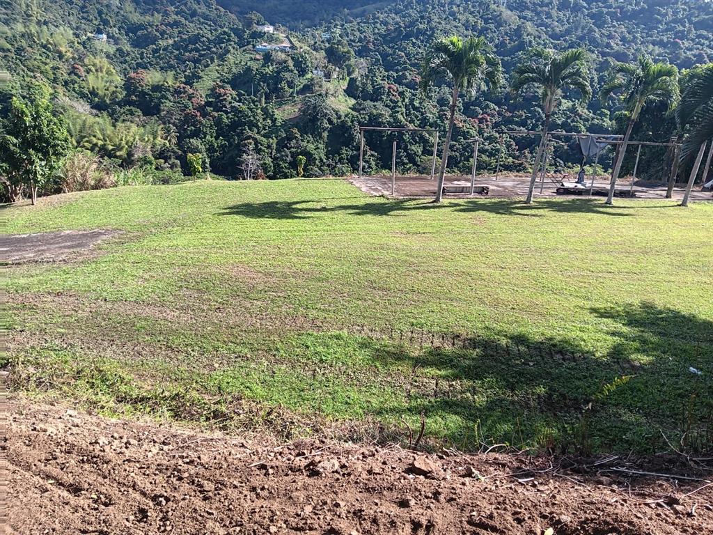 A grassy, sloped yard overlooks a concrete patio area with palm trees and distant mountains — Carr 184 BO. MULAS, PATILLAS, PR