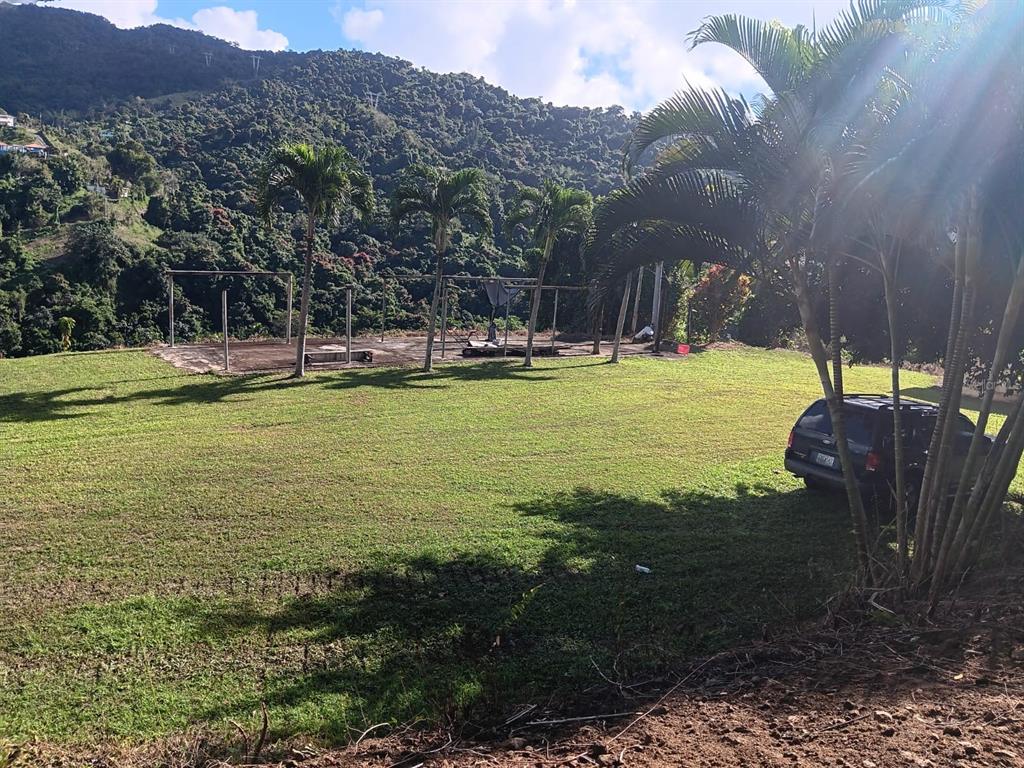 A grassy lot features a concrete foundation with metal posts and several palm trees — Carr 184 BO. MULAS, PATILLAS, PR
