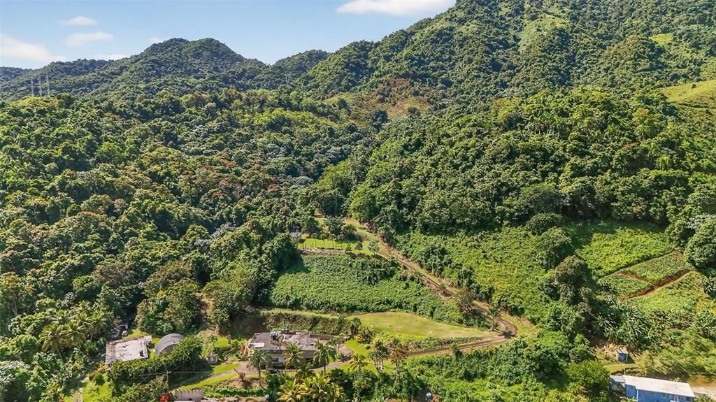 An aerial view shows a house nestled in a lush, mountainous, and forested landscape — Carr 184 BO. MULAS, PATILLAS, PR
