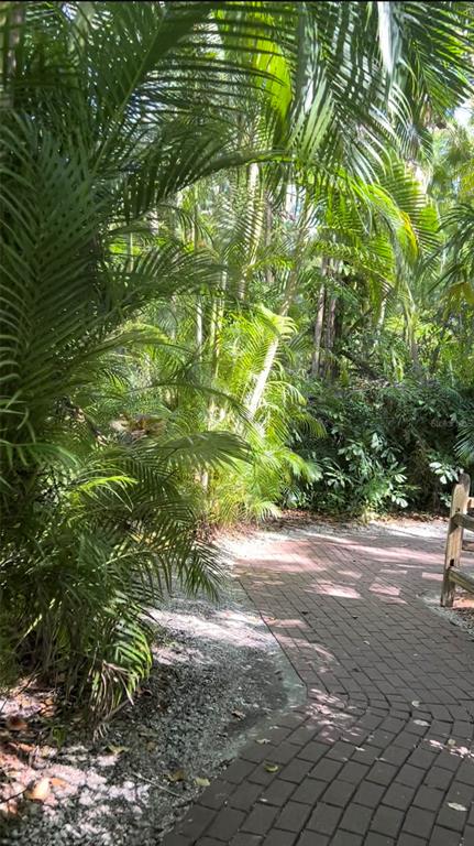 A brick pathway winds through a lush garden with palm trees and dense foliage — 8226 DIMSTEAD STREET, PORT CHARLOTTE, FL