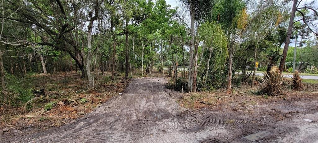 A dirt path leads into a wooded lot with dense trees and vegetation — 0 N POINCIANA BOULEVARD, KISSIMMEE, FL