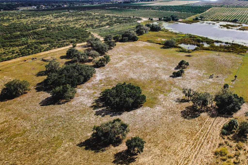 An aerial view shows a large, grassy field with scattered trees and a small pond — 0 EDWARDS ROAD UNIT 0, HAINES CITY, FL