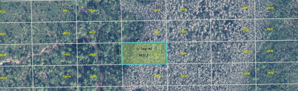 This is an aerial map showing a rectangular plot of land with dimensions and grid lines — DILL ROAD, ORLANDO, FL