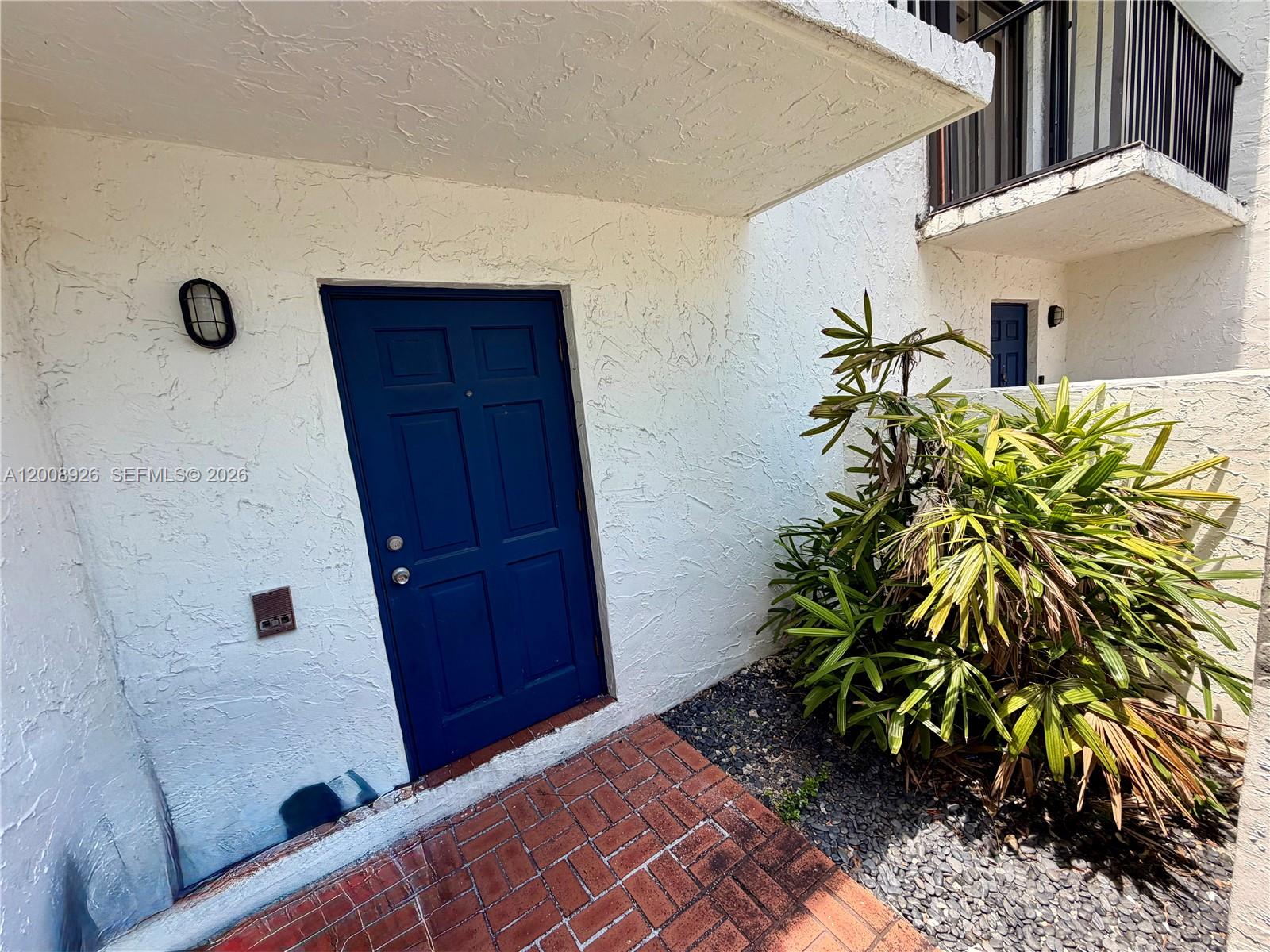 A blue front door is set in a white stucco wall beside a small palm — 3225 Bird Ave, Miami FL 33133, MIAMI, FL