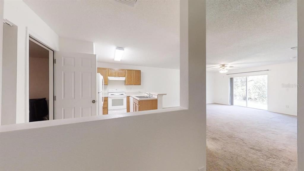 A view from a hallway looking into a kitchen and an adjacent carpeted living area — 4121 WINDING RIVER WAY, LAND O LAKES, FL