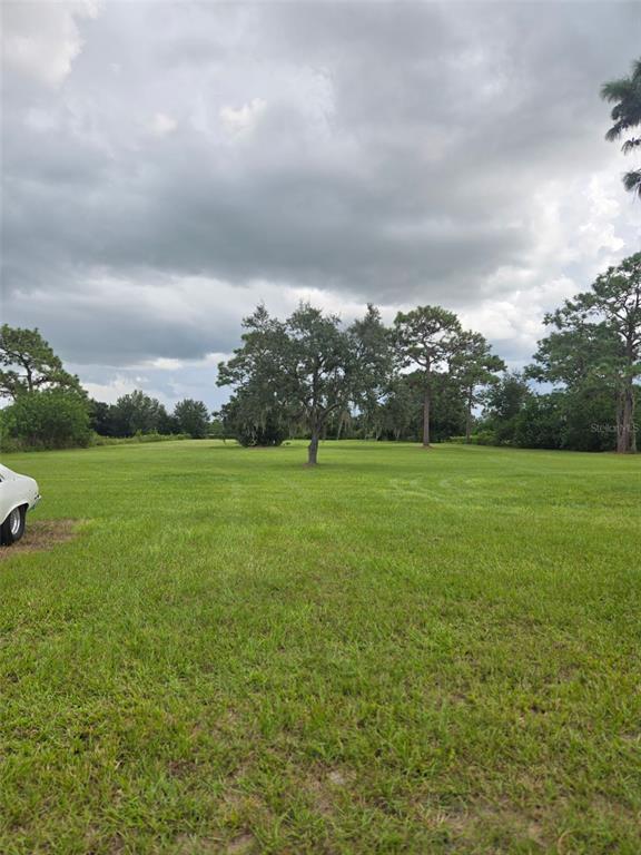 A large, grassy, open lot features a single prominent tree under a cloudy sky — 885 LAKE MARIAN ROAD, KENANSVILLE, FL