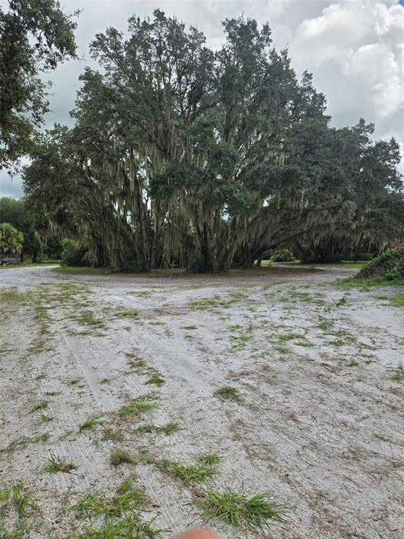 A large, moss-draped oak tree stands in the center of a sandy, unpaved clearing — 885 LAKE MARIAN ROAD, KENANSVILLE, FL