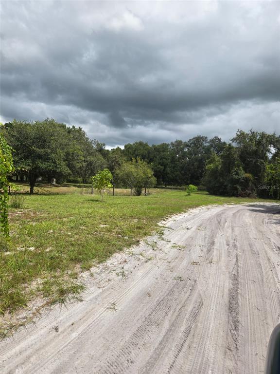 A dirt road curves through a grassy, tree-lined lot under a cloudy sky — 885 LAKE MARIAN ROAD, KENANSVILLE, FL