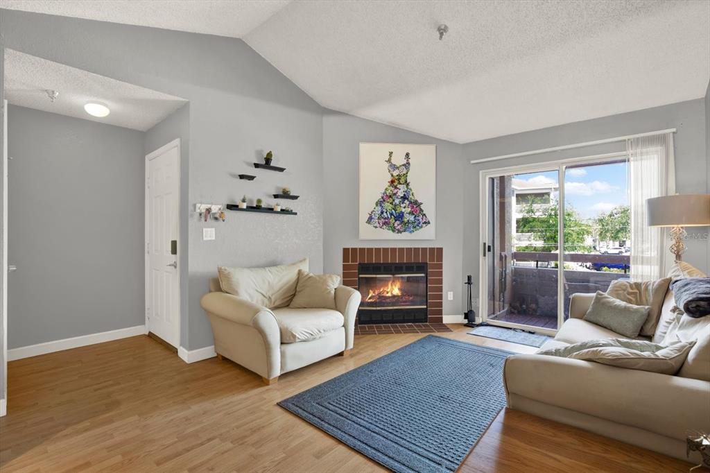 A living room features a fireplace, a large area rug, and a sliding glass door — 10265 GANDY BOULEVARD N UNIT 906, ST PETERSBURG, FL