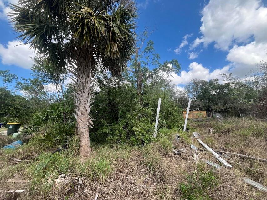 3608 SMITHTOWN ROAD, SEBRING, FL — photo 5 of 5