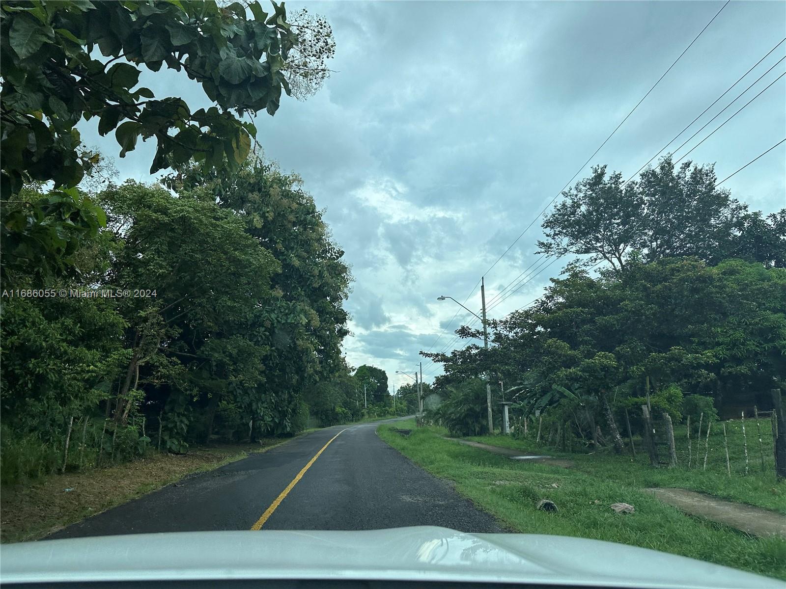 FL — photo 3 of 20